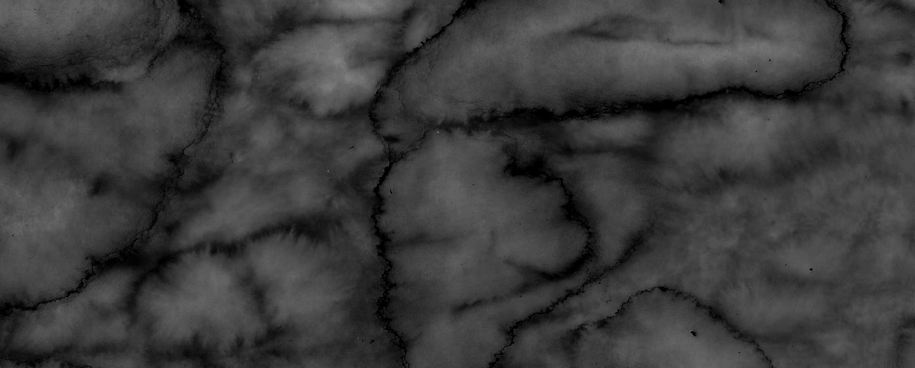 _a_frm21,100.00_02_29_16.Quadro008